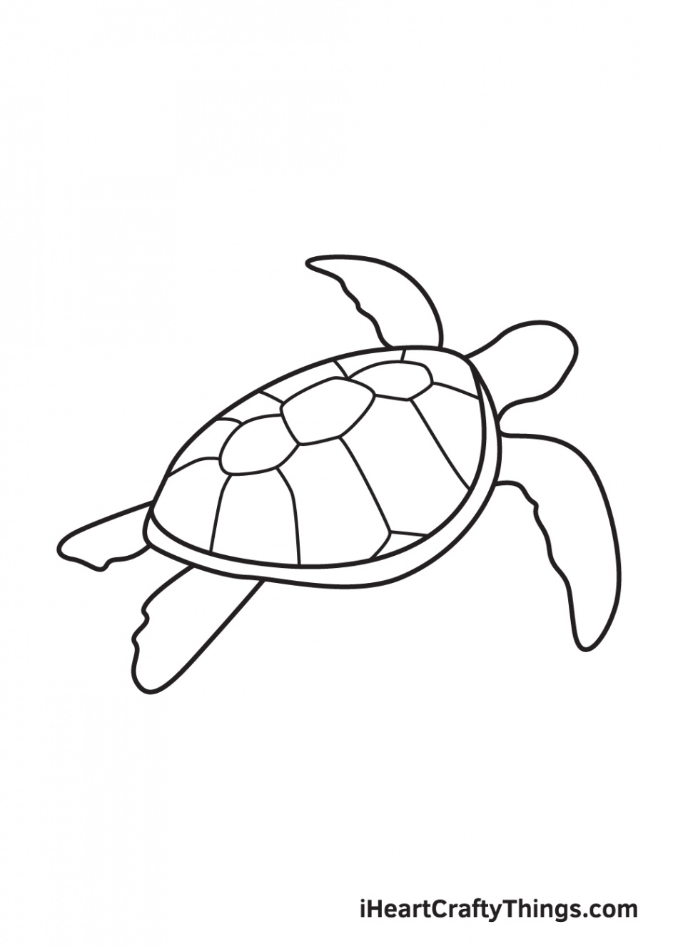 Sea Turtle Drawing - How To Draw A Sea Turtle Step By Step