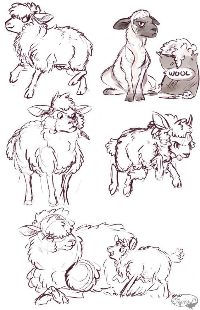 Sheep by sharkie on DeviantArt  Animal drawings, Animal