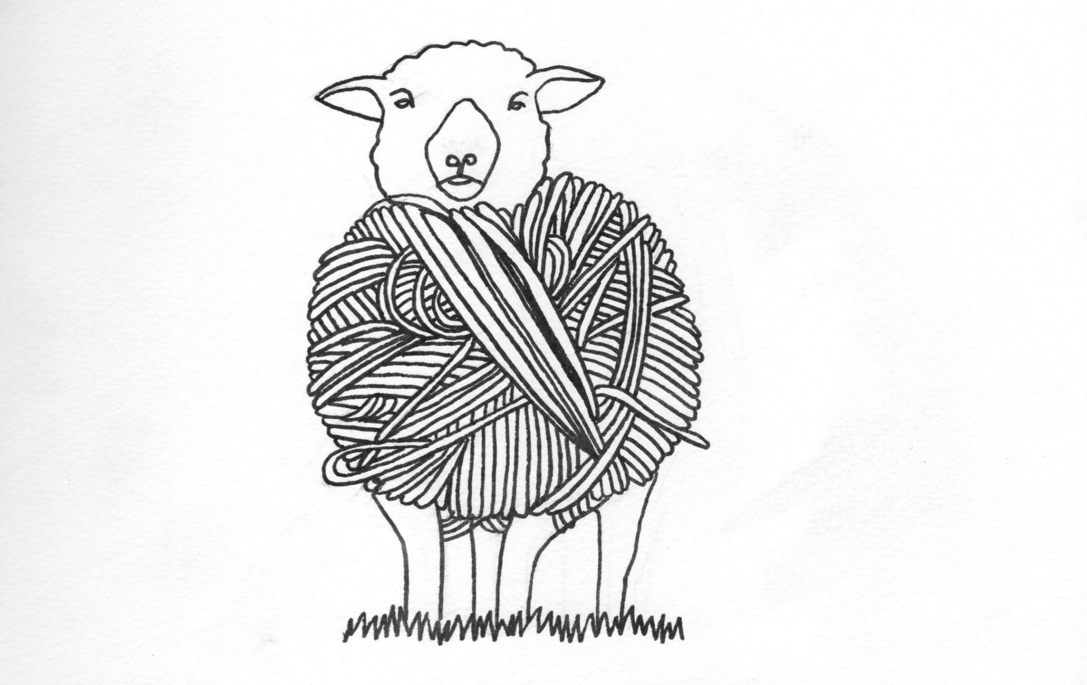 Sheep with Yarn Drawing  Sheep drawing, Yarn tattoo, Sheep art