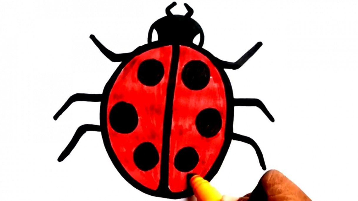 SHORTS BEETLE DRAWINGLEARN TO DRAW A LADYBUG PAINTING FOR