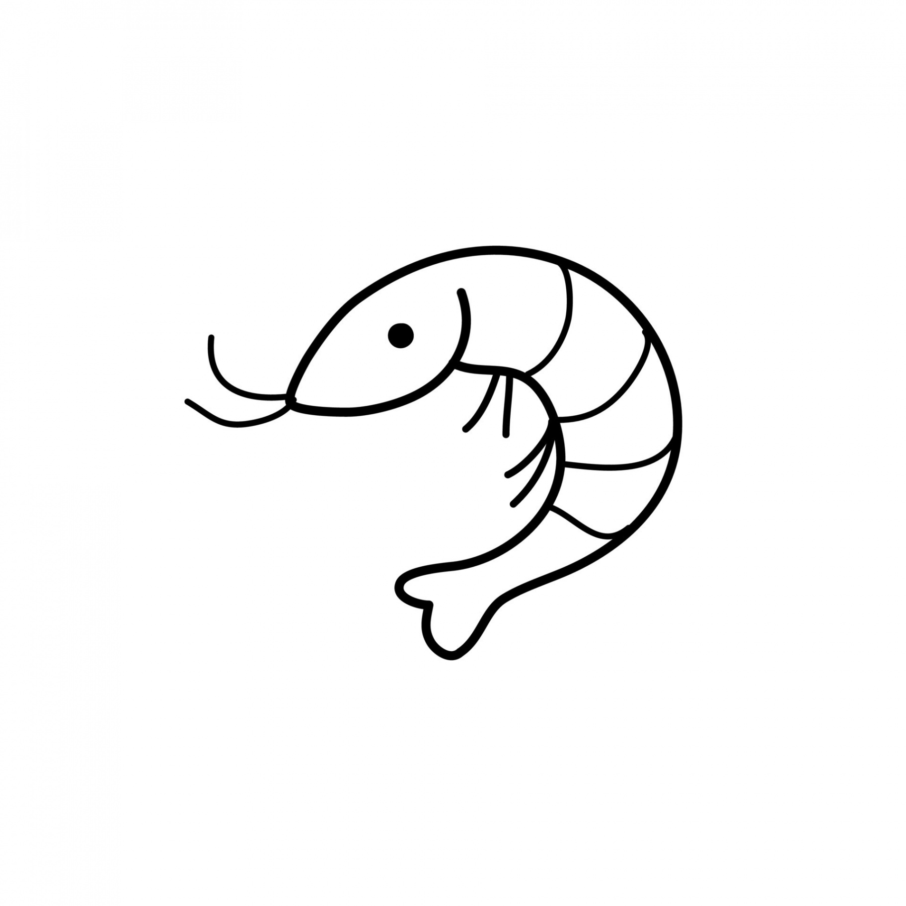 Simple doodle-style shrimp in black