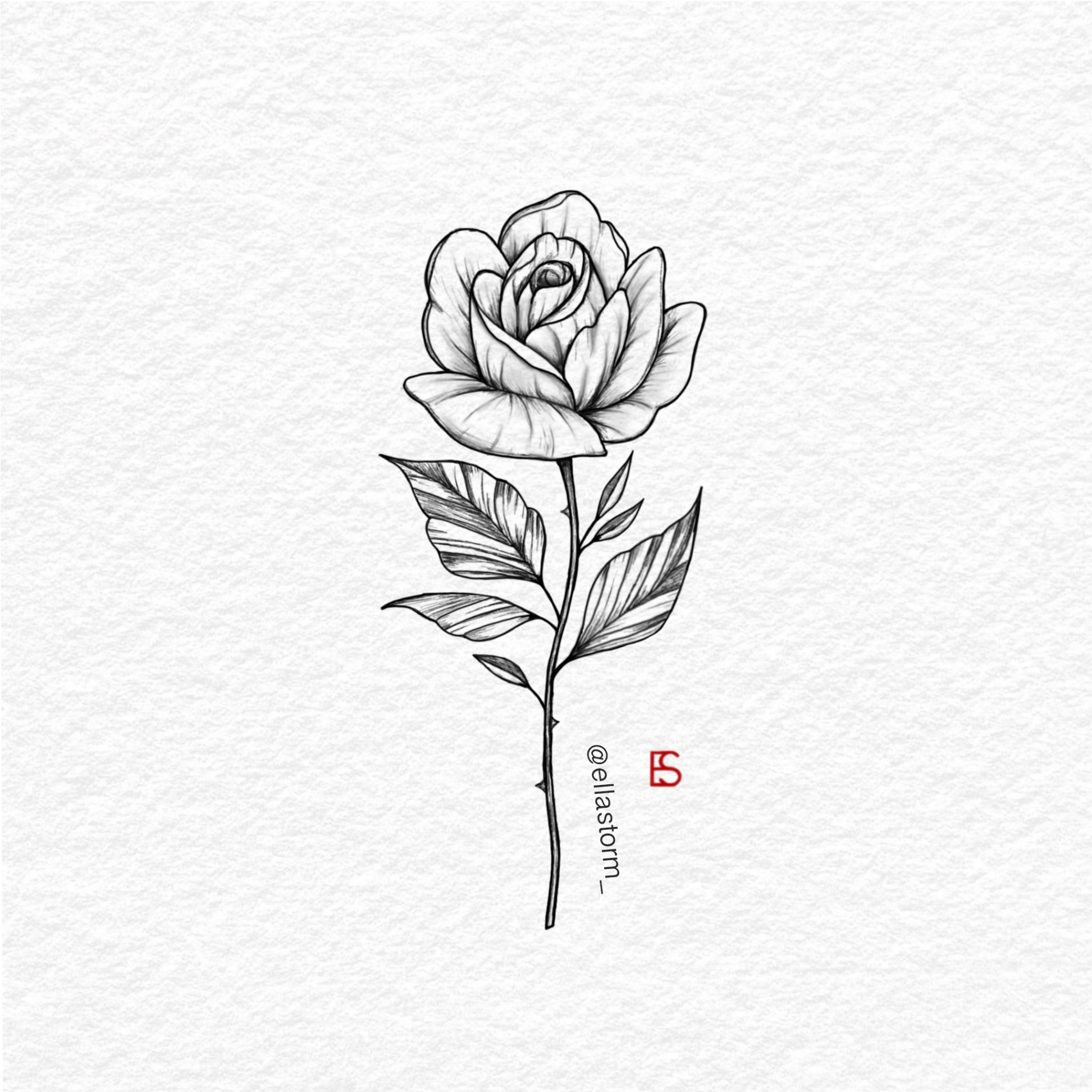 Single rose fine line tattoo design by Ella Storm @ellastorm_