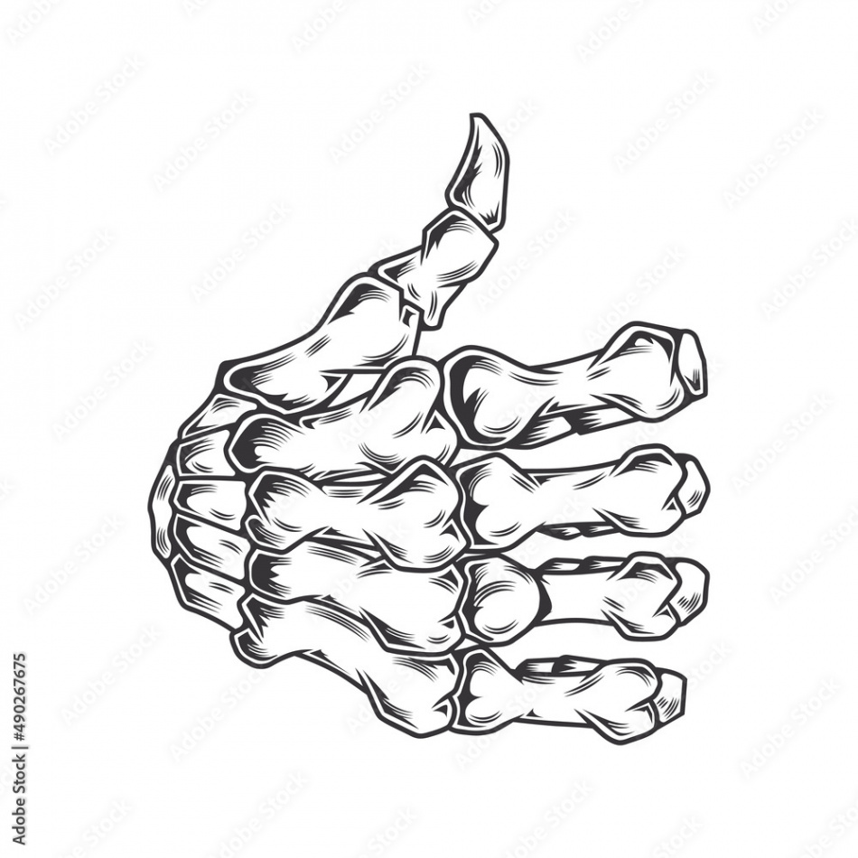 skeleton link thumbs up hand line art vintage tattoo or print