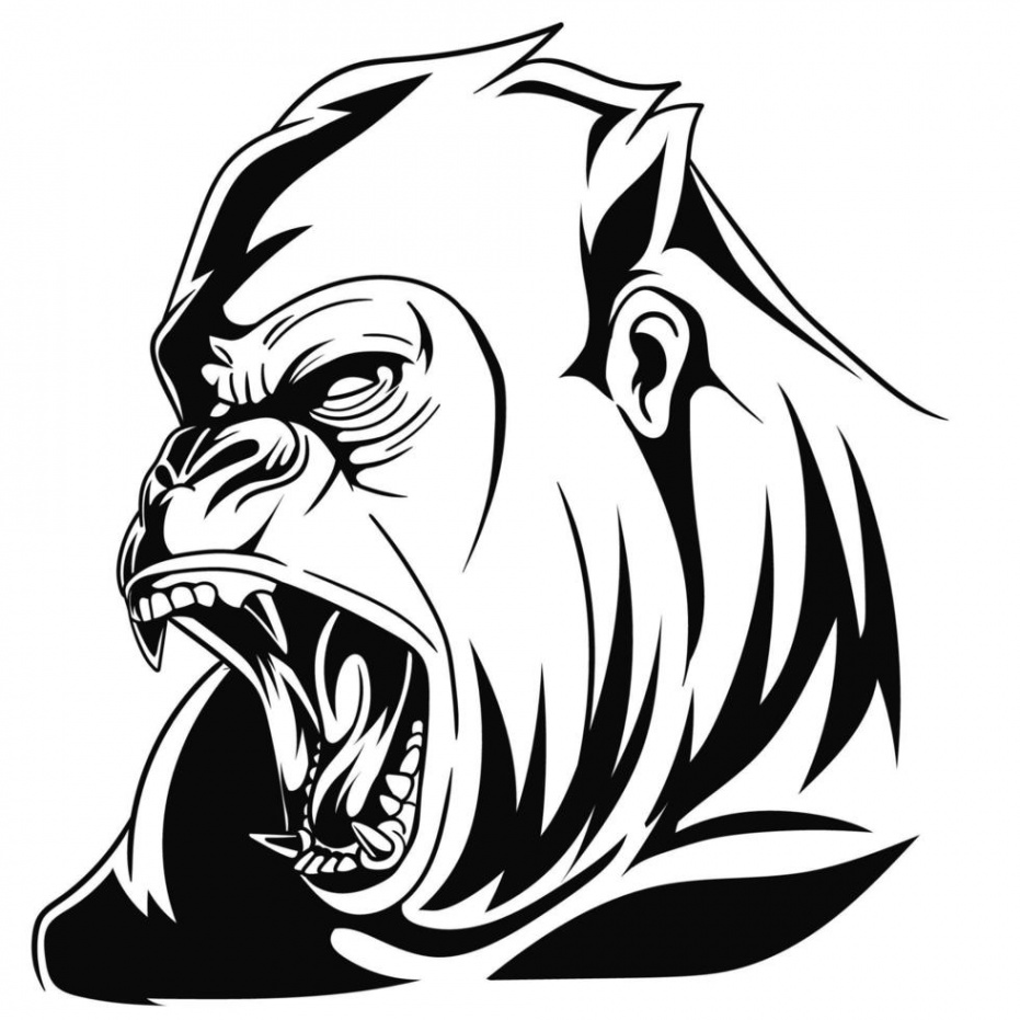 Sketch of angry gorilla