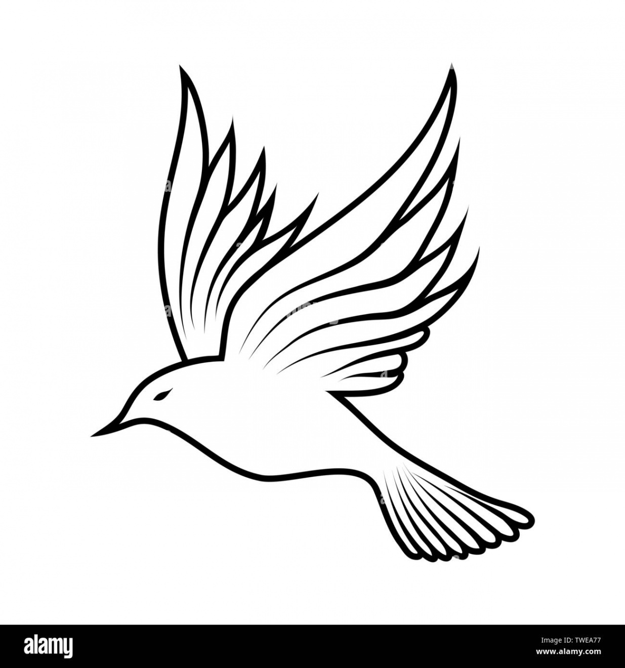 Sketch of Bird. Outline Design