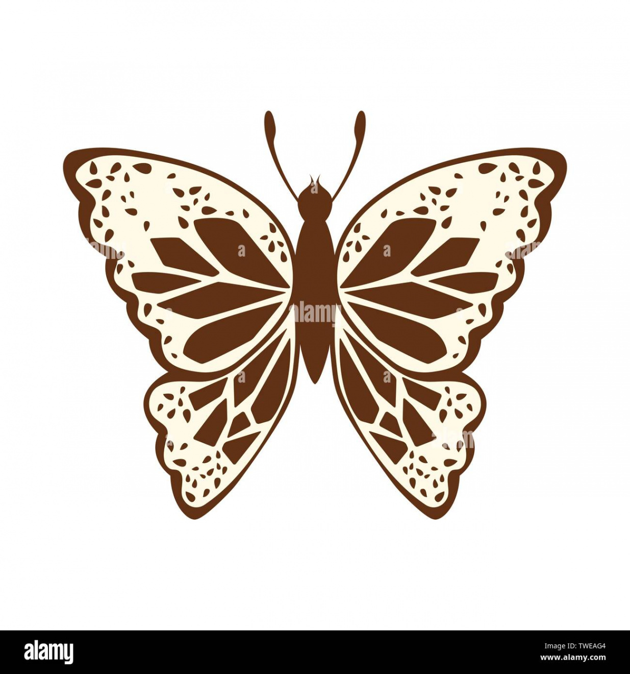 Sketch of Butterfly. Brown Line Color Design