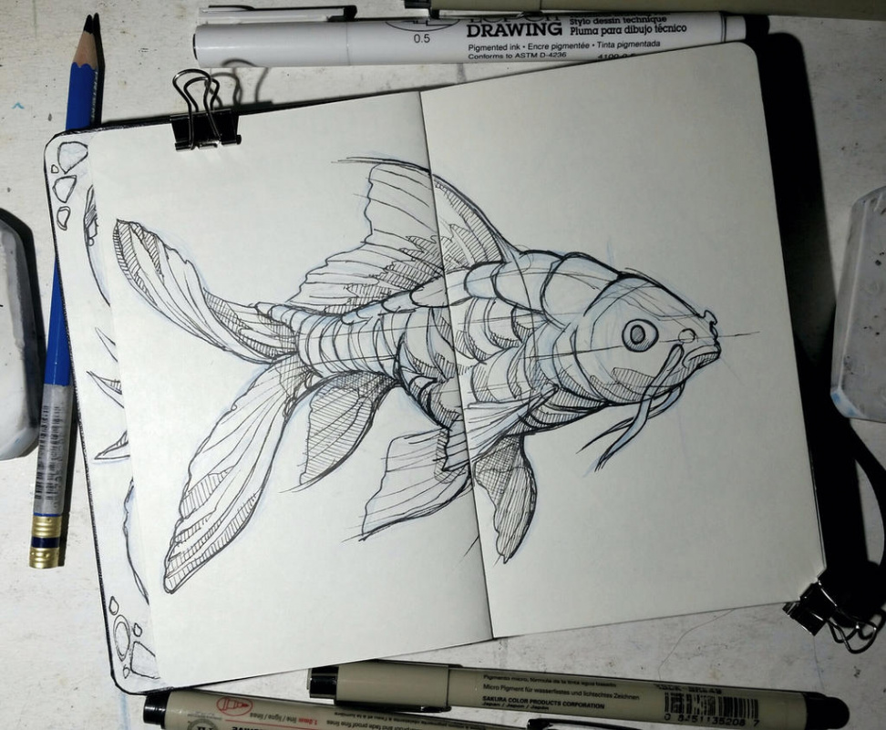 Sketchy Fish by JakeMorrison on DeviantArt