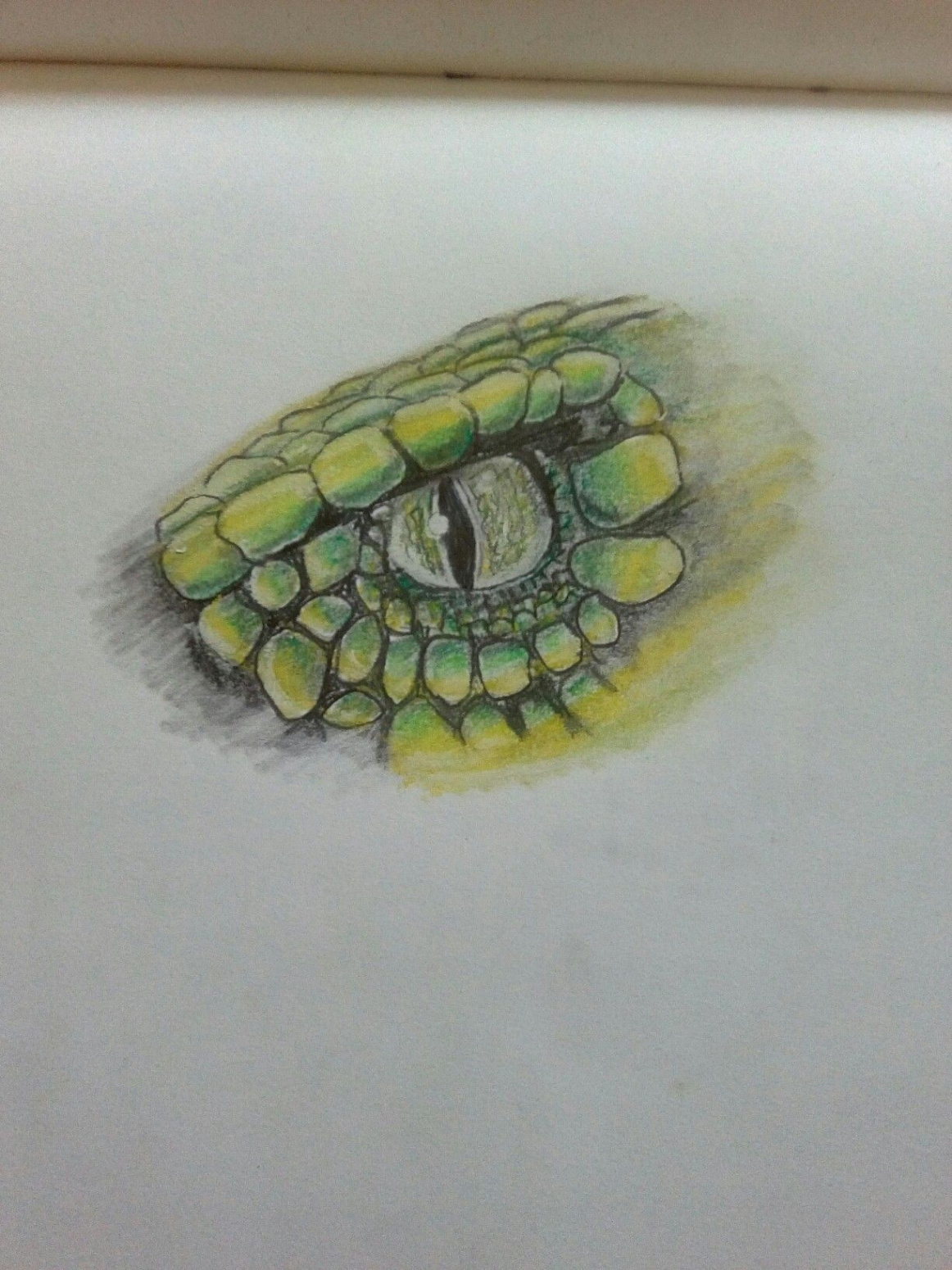 Snakes eye drawing 🐍  Snake painting, Snake sketch, Eye painting