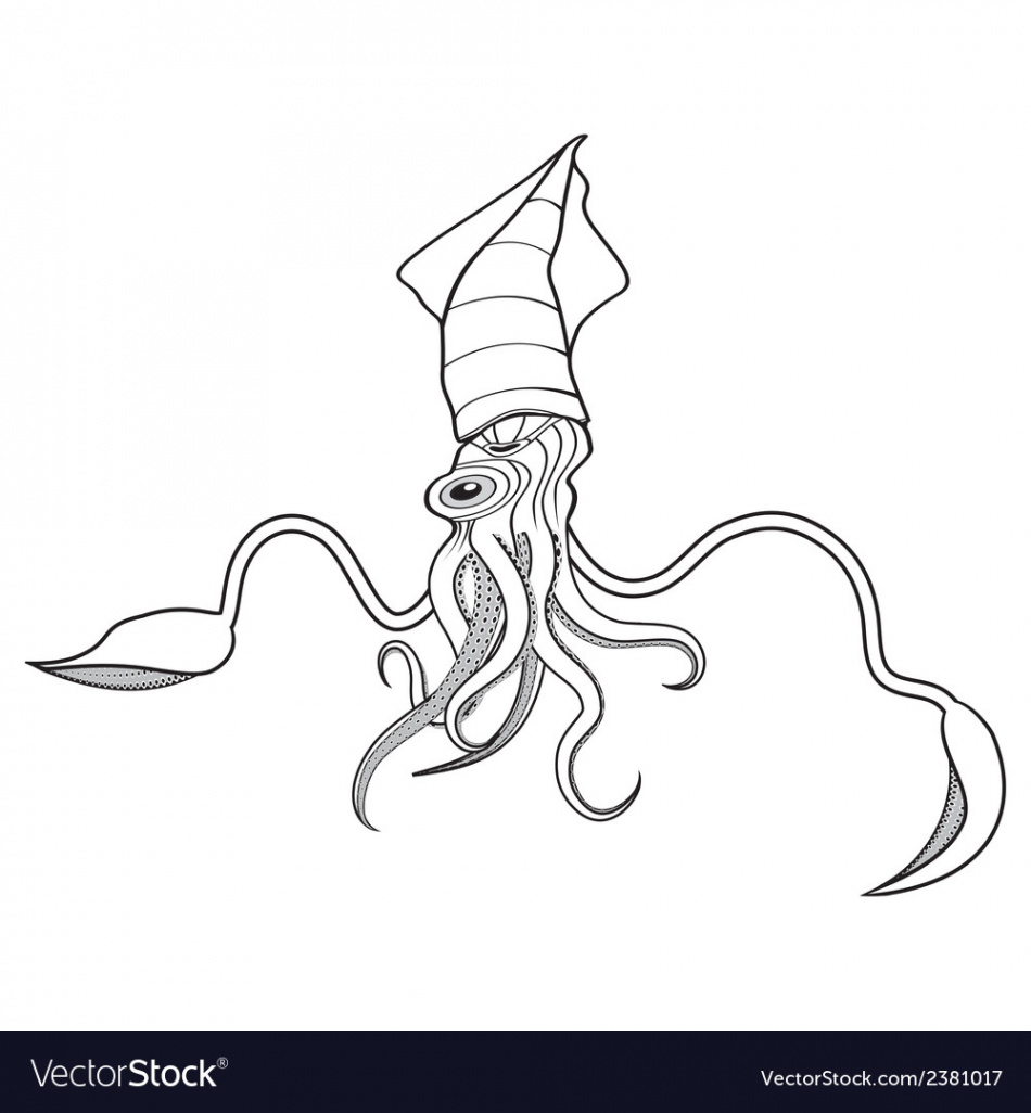 Squid ocean water animal sketch tattoo Royalty Free Vector