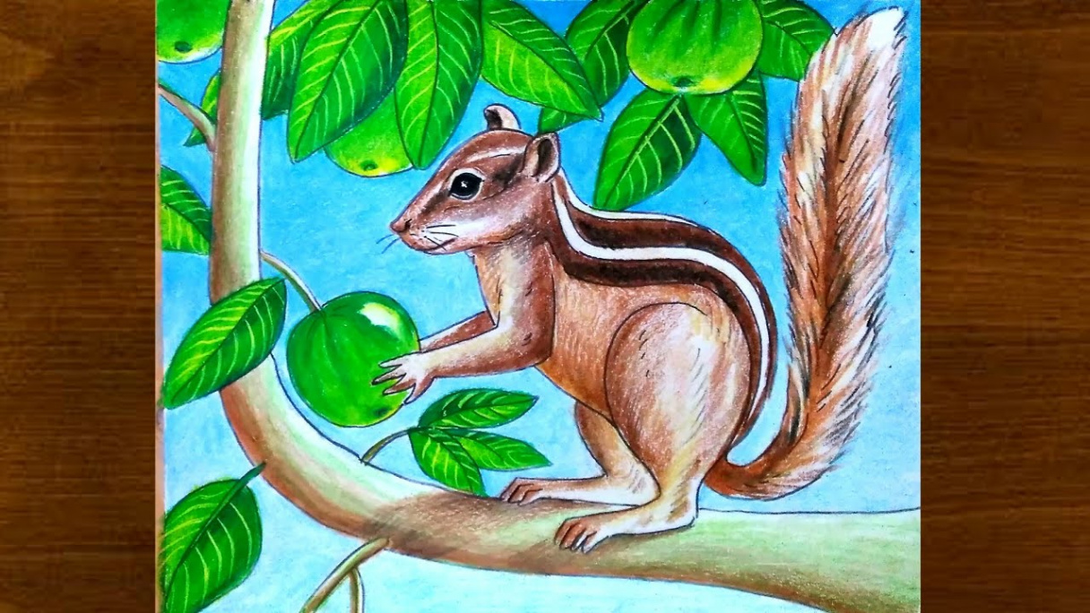 Squirrel drawing step by step easy for beginners/Squirrel drawing with  colour