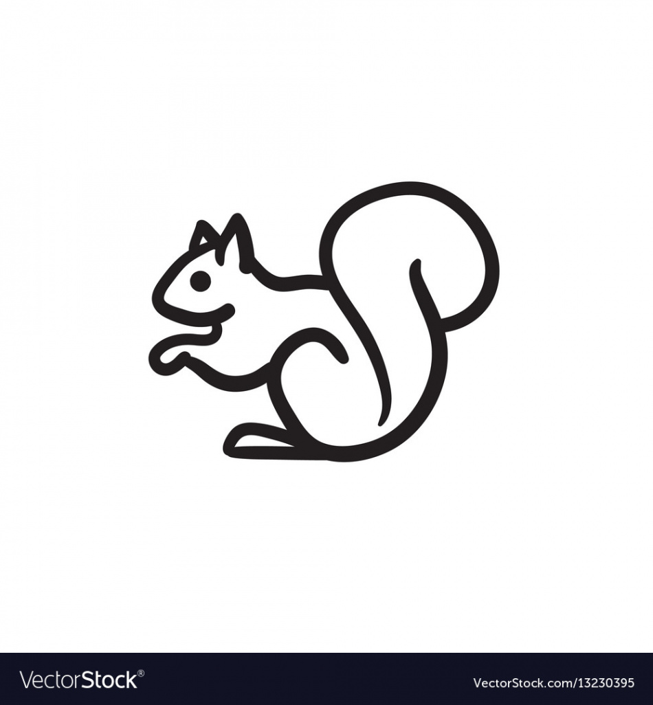 Squirrel sketch icon Royalty Free Vector Image