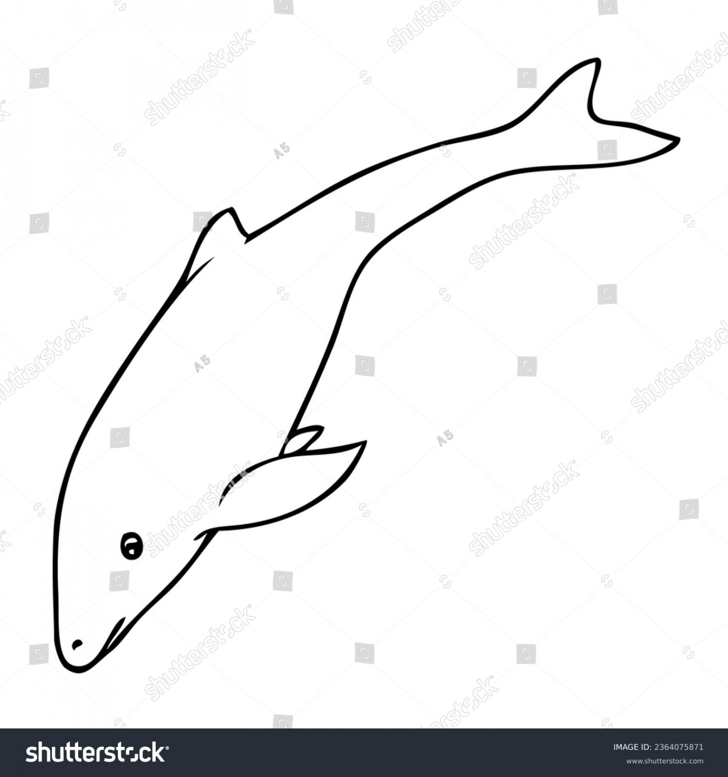 Top View On Dolphin Water: Over  Royalty-Free Licensable Stock