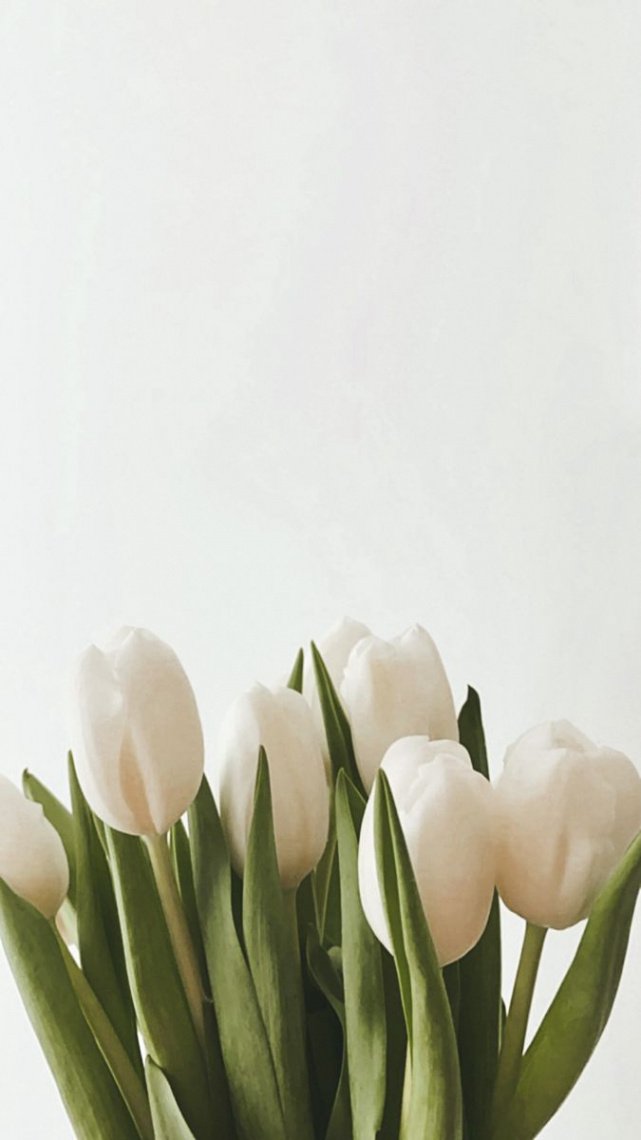 Tulips  Vintage flowers wallpaper, Flower aesthetic, Flower phone