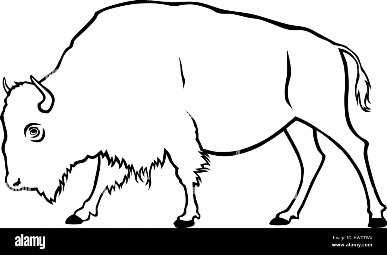 Vector illustration of buffalo in side view Stock Vector Image