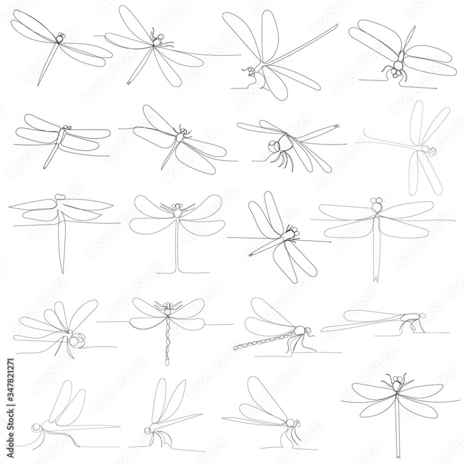 vector, isolated, dragonfly continuous line drawing, set Stock