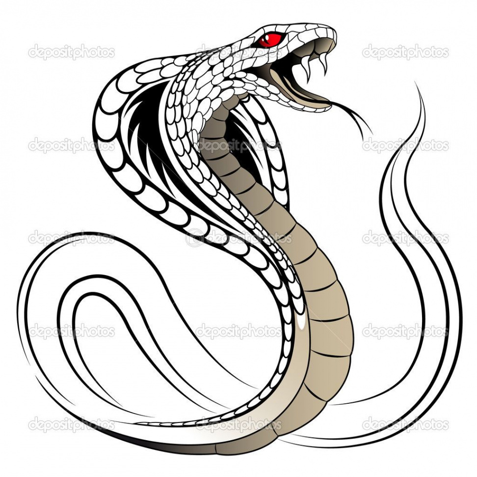 Vector Snake, Cobra  Coloriage serpent, Coloriage, Tatouage de cobra