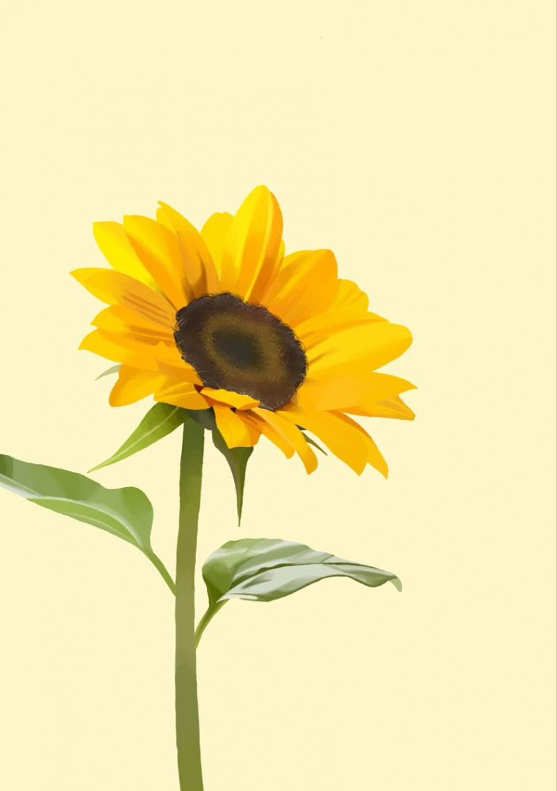 Vibrant Sunflower Illustration