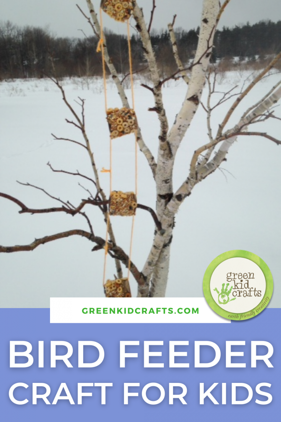 Winter Bird Feeder Craft for Kids - Green Kid Crafts