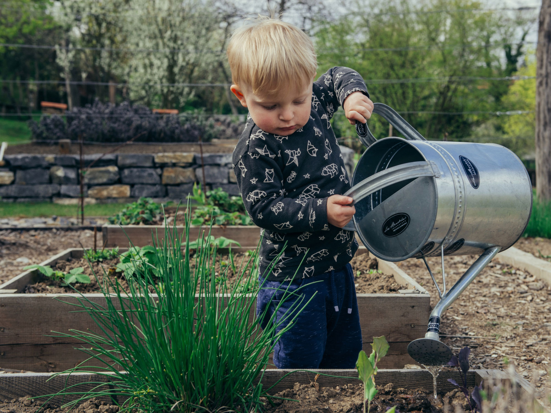 Winter Garden Activities To Try With Your Kids  st Street