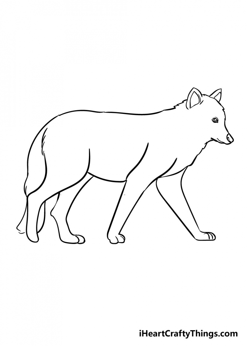 Wolf Drawing - How To Draw A Wolf Step By Step!