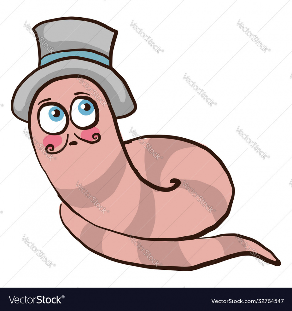 Worm with hat on white background Royalty Free Vector Image