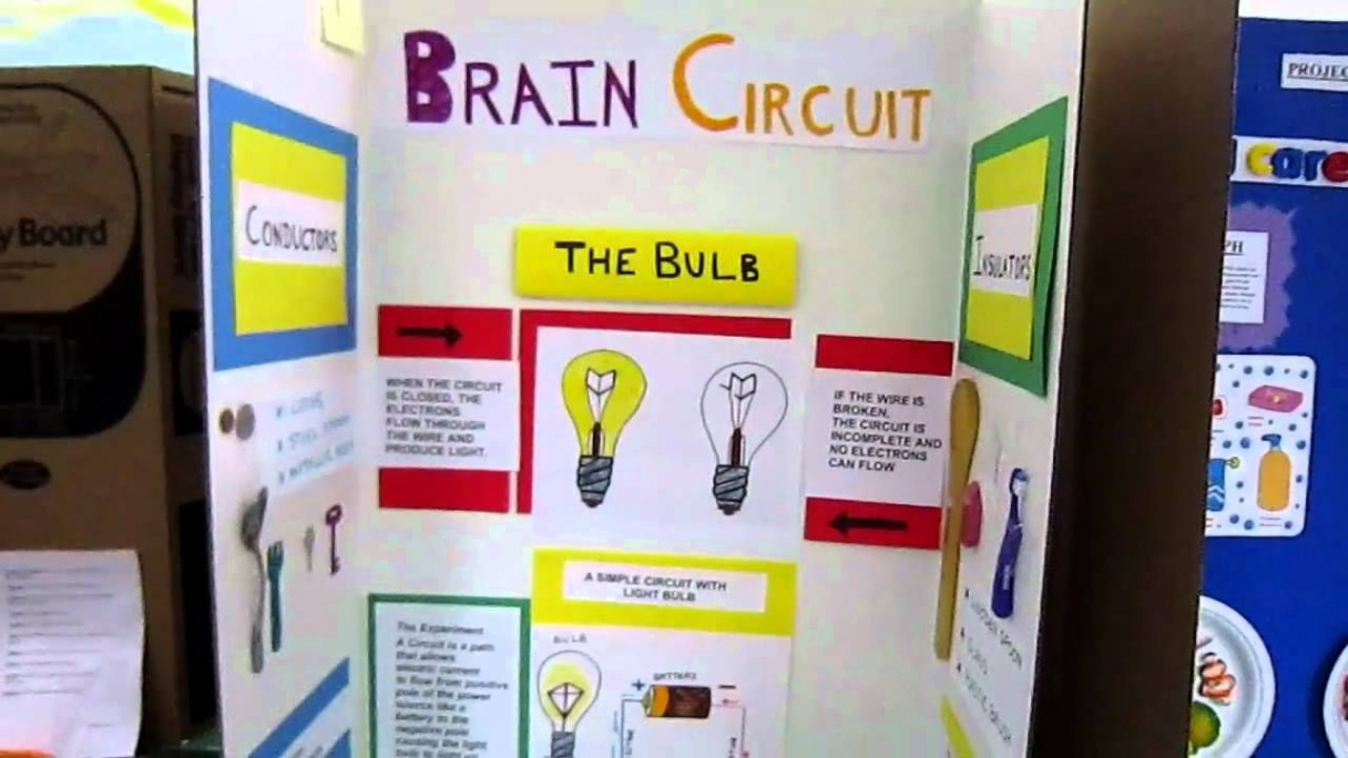 Would love to have someone make a pizza box circuit with brads and paper  clips for their science fair proje  Science fair projects, Science fair,  Circuits science