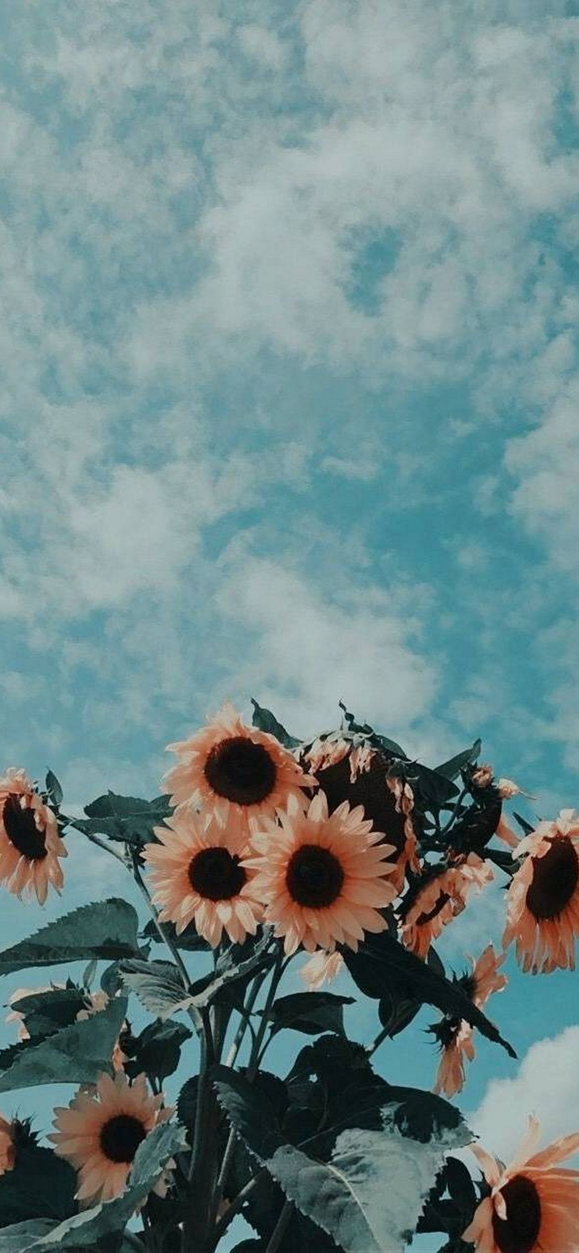 Cool Aesthetic Iphone Wallpaper 68