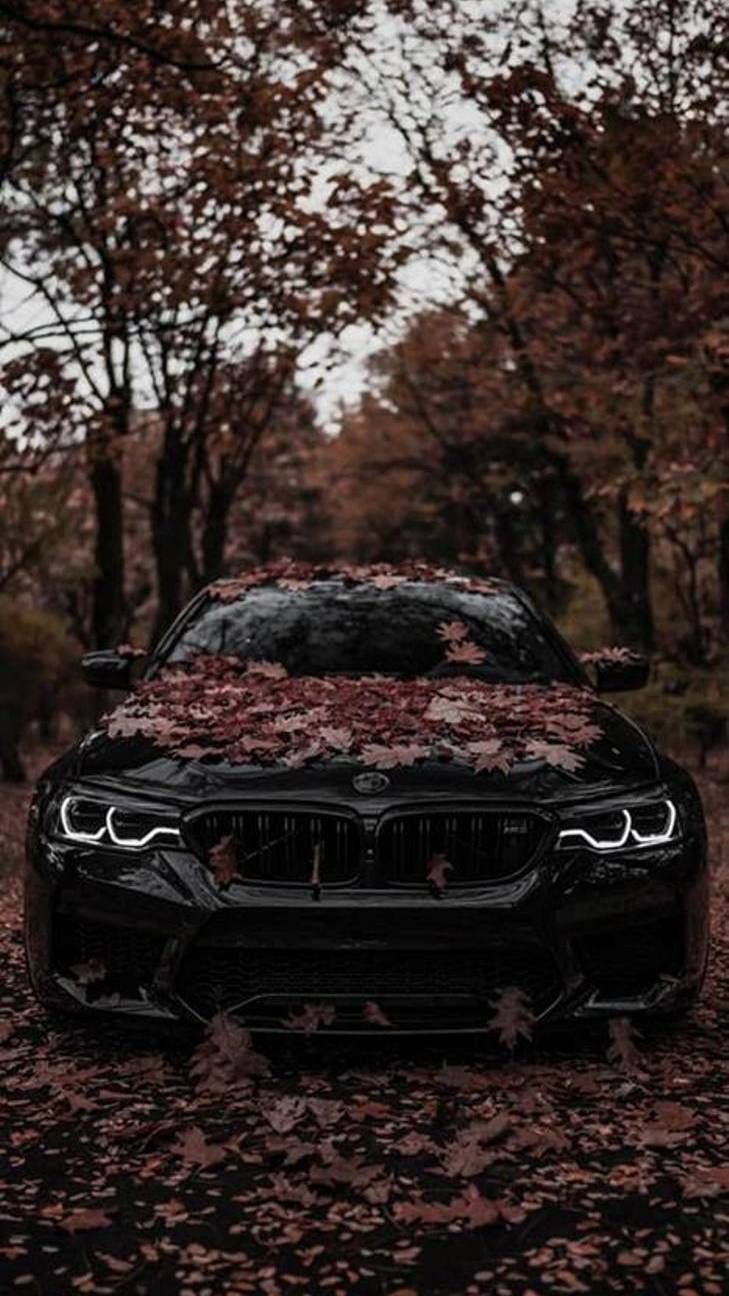 65+ Bmw M5 Iphone Wallpaper 45